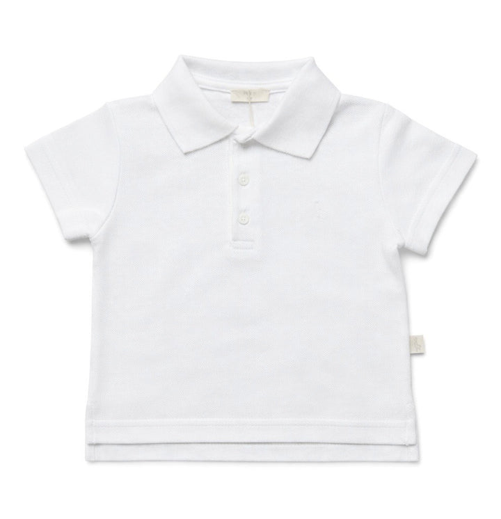 Baby polo met korte mouwen van Baby Gi in wit en lichtblauw met klassieke kraag